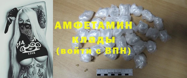 дживик Богородск