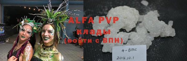 дживик Богородск
