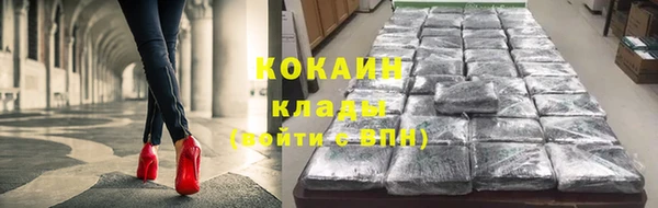 дживик Богородск