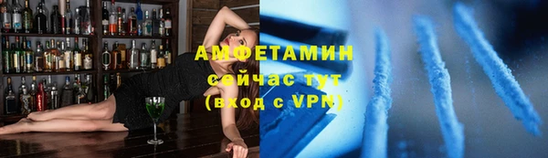 дживик Богородск