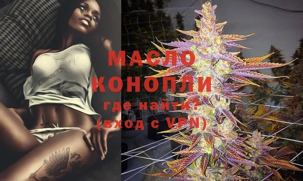 дживик Богородск