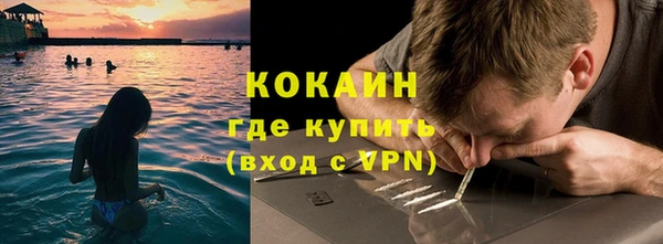 дживик Богородск